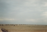 Gulf War b4 10