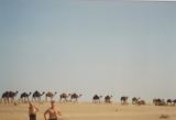 Gulf war 1