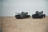 Gulf war 12