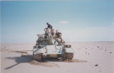 Gulf war 21
