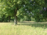 lad-wkps-rear-from-veh-park